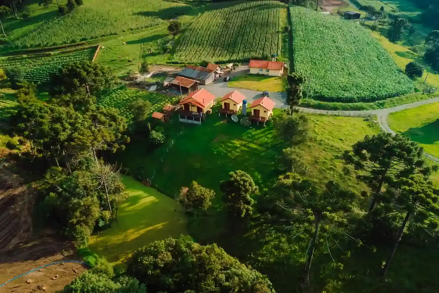 Vista aérea de sítio com casa de campo, chalés e plantações, imóvel rural e de temporada