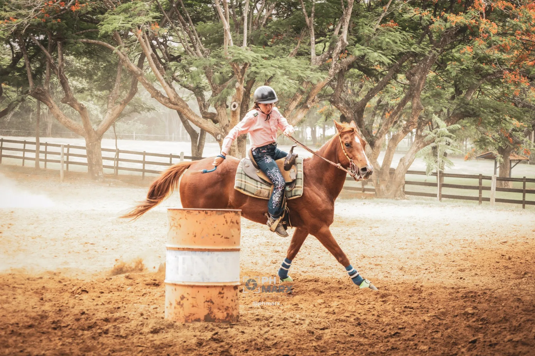 Retrato de cavaleira com seu cavalo antes da prova equestre por PH Marx